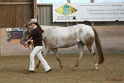 21-ApHC HMC_018